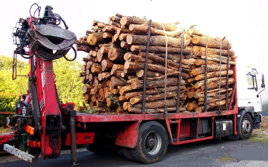 Camion de 80 stères Hêtre Chêne Charme en grume