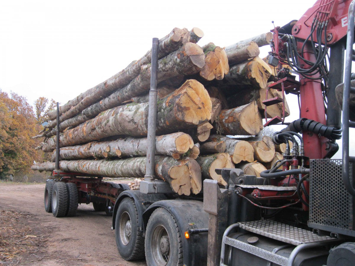 HÊTRE EN GRUME, CAMION DE 50 STÈRES