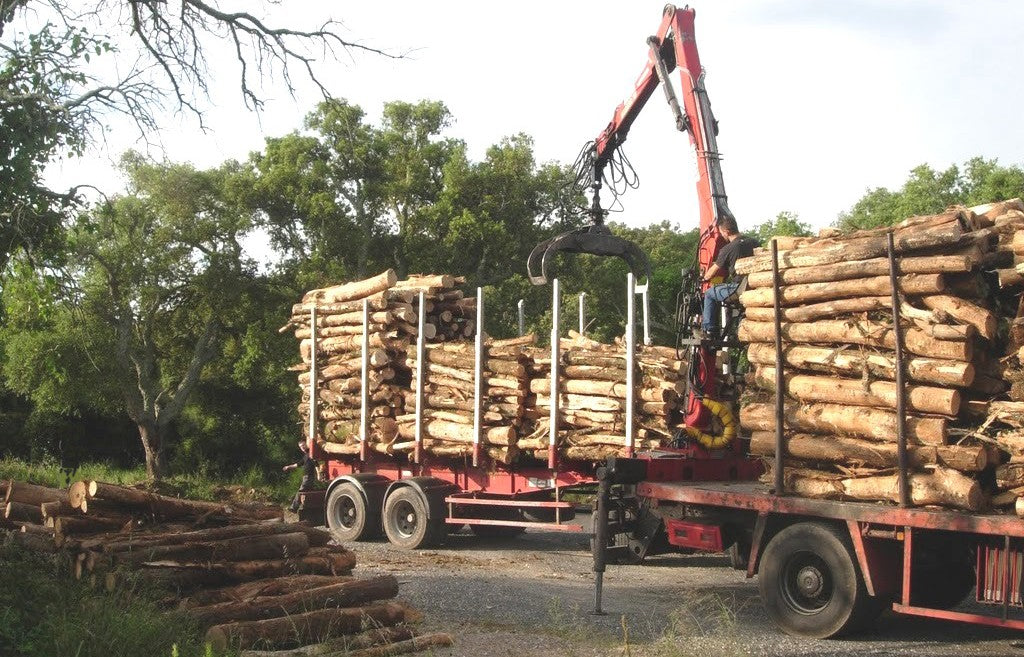 Camion de 100 stères Hêtre Chêne Charme en grume