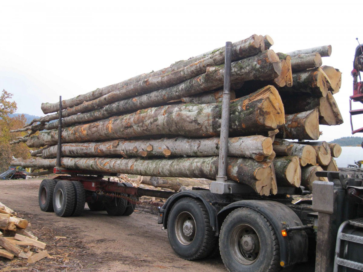 HÊTRE EN GRUME, CAMION DE 50 STÈRES